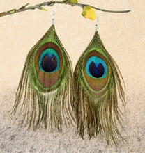 Load image into Gallery viewer, Peacock Feather Earrings
