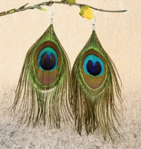 Peacock Feather Earrings