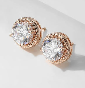 Rose gold jewel Earrings